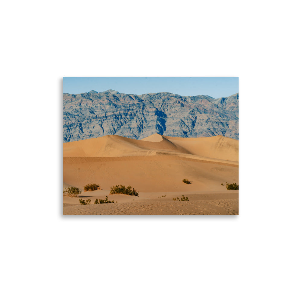 Sand and Solitude