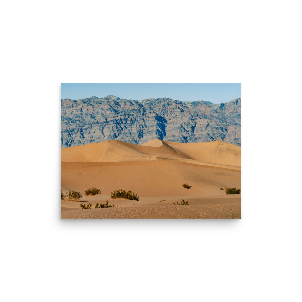 Sand and Solitude