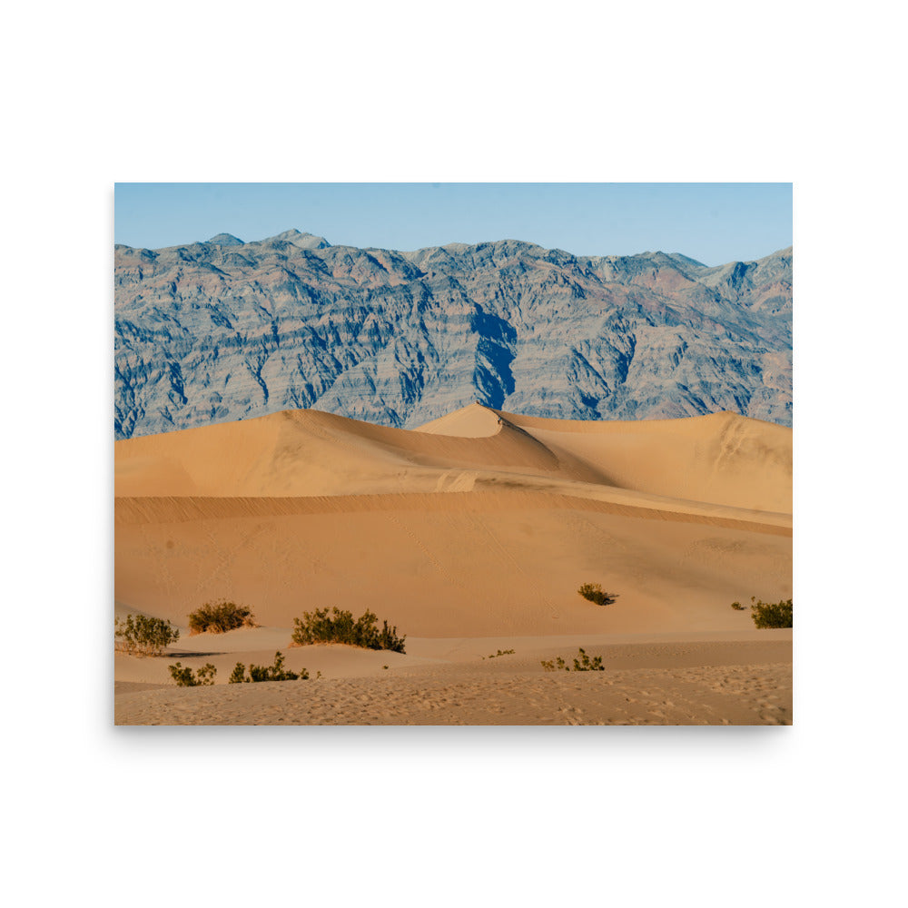 Sand and Solitude