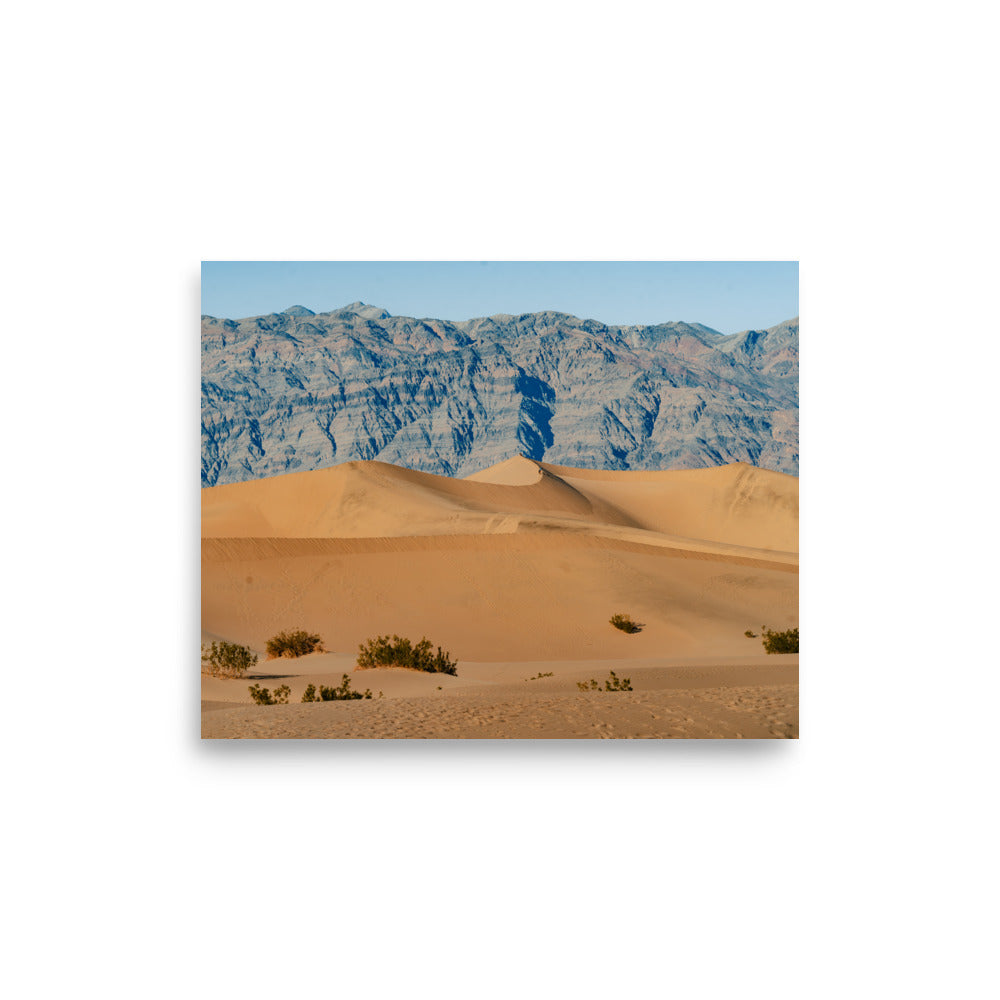 Sand and Solitude