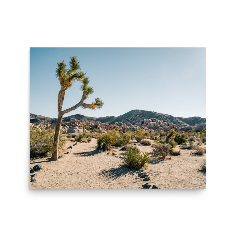 Joshua Tree