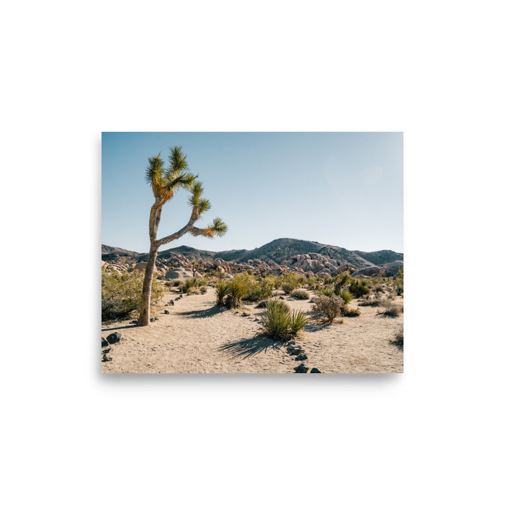 Joshua Tree